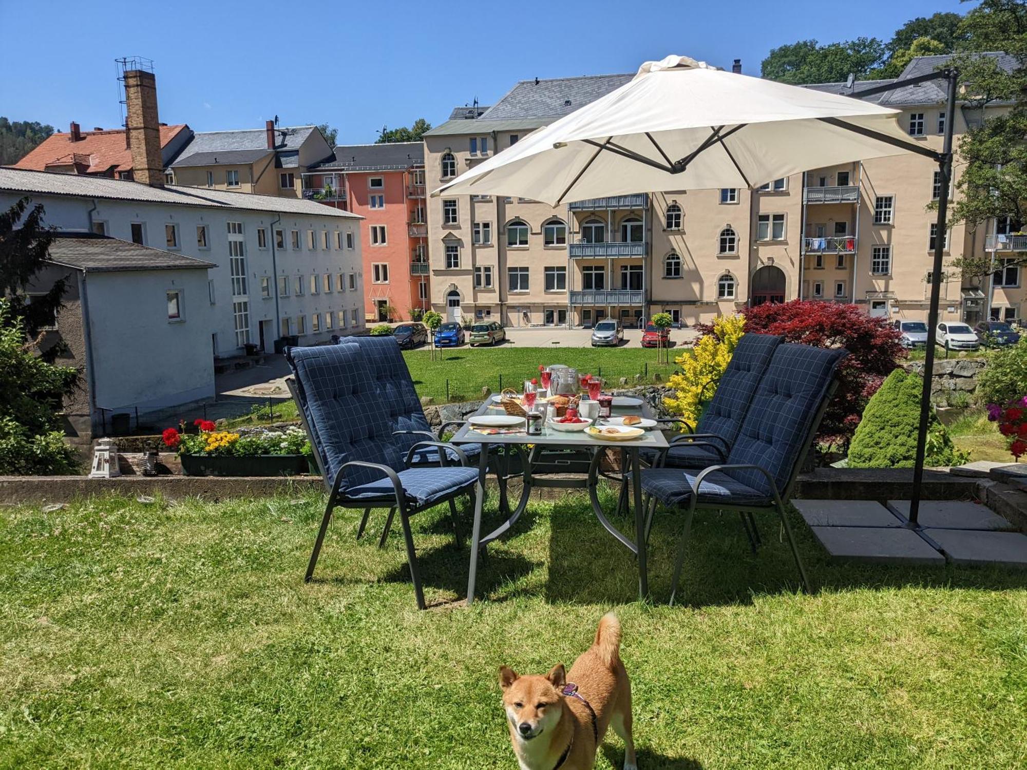 Apartmán Uo2 - Urlaubsmagie - Garten, Whirlpool, Sauna Sebnitz Exteriér fotografie